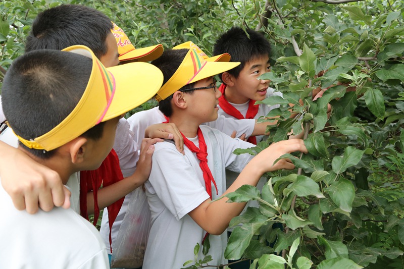 2014年5月科技小組在鄉土植物園觀察果樹