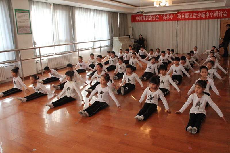北京市顺义区后沙峪中心小学校园活动展