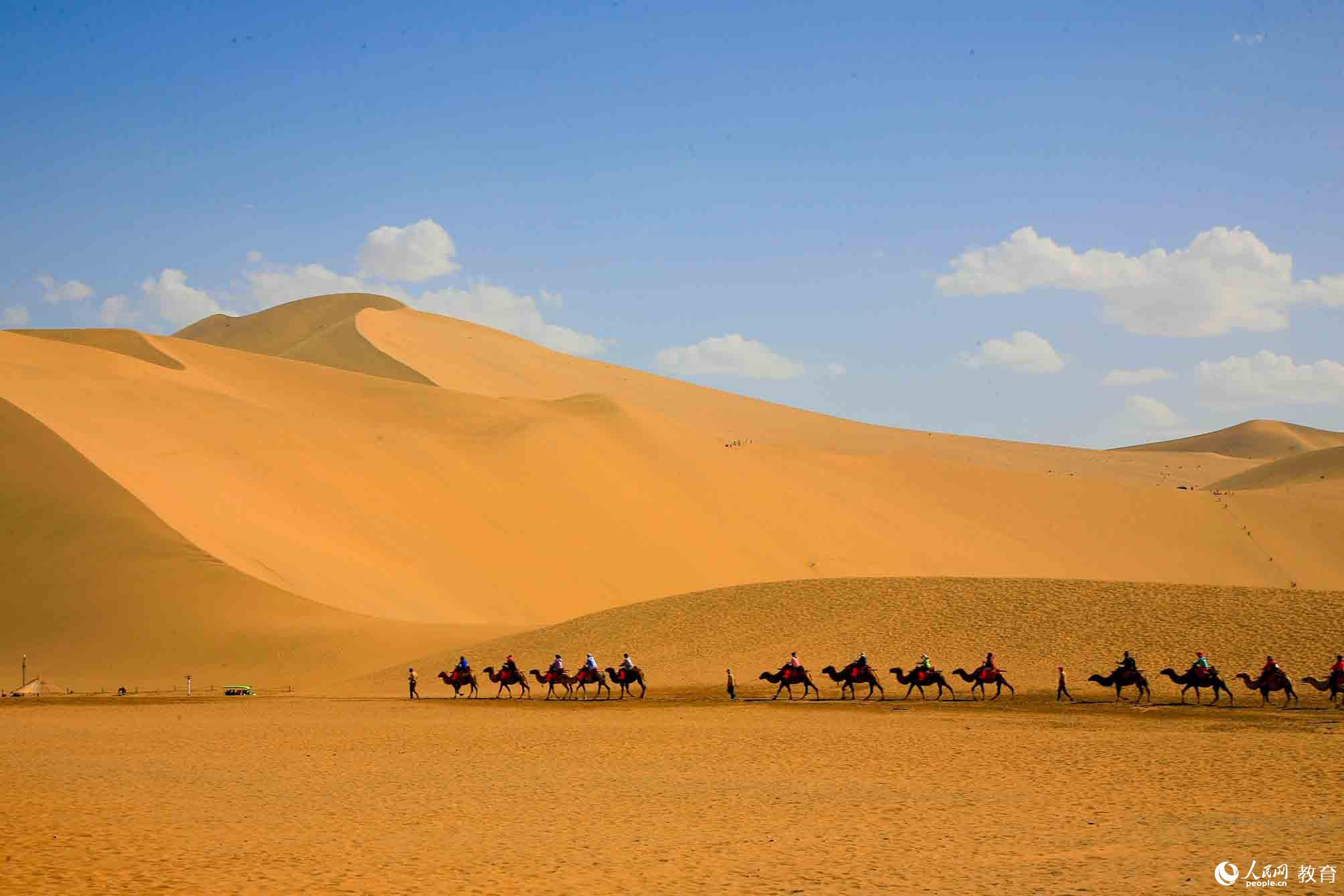 穿行於沙漠中的駱駝隊伍