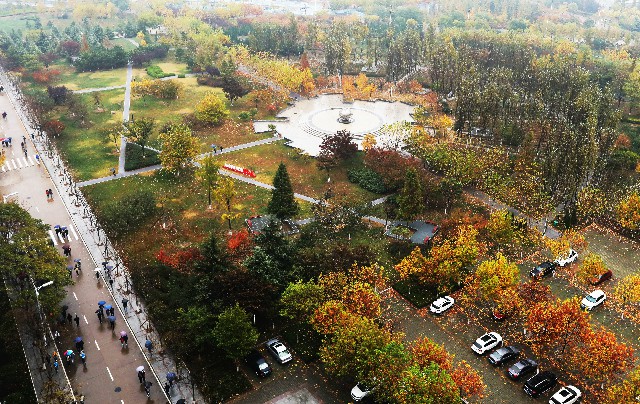 中國石油大學（華東）：秋雨如跳動的音符。 攝影/劉積舜