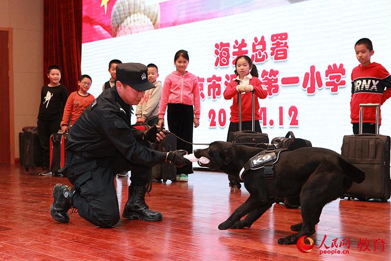海关总署北京缉私犬基地的工作犬展示搜寻技能