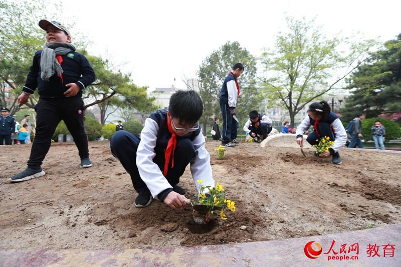 灯市口小学优质教育资源带学生在进行植物扦插 刘毅/摄