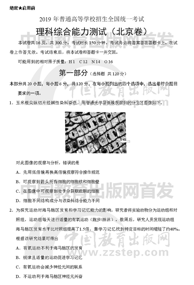 2019年高考北京市理科綜合試題