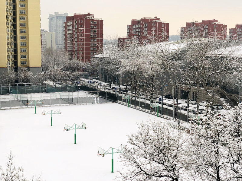 北京郵電大學 大雪后的北郵校園（范圍/攝）