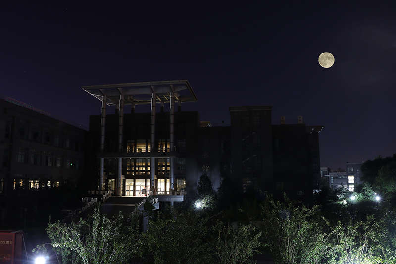 北京工商大學：圖書館前，月色正濃墨生香。周彤攝
