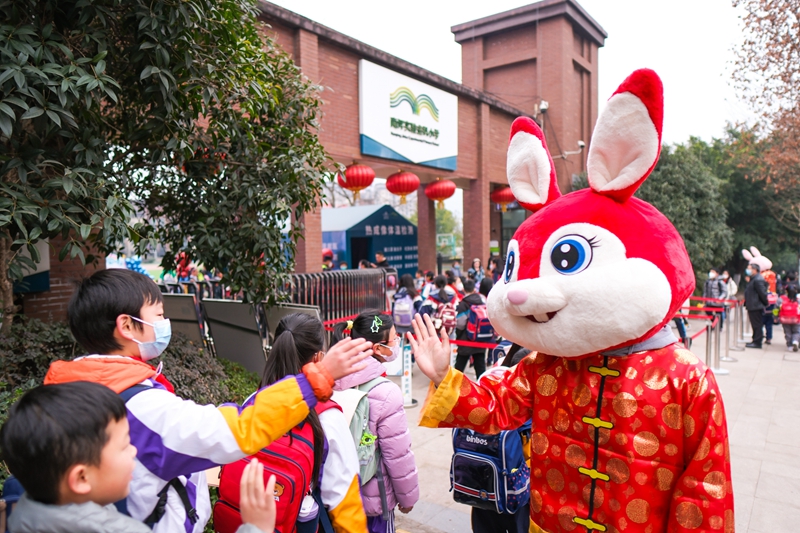 2月6日，重慶南岸區南坪實驗金科小學，學校在門口准備了孩子們喜歡的兔子玩偶，迎接開學。郭旭攝 