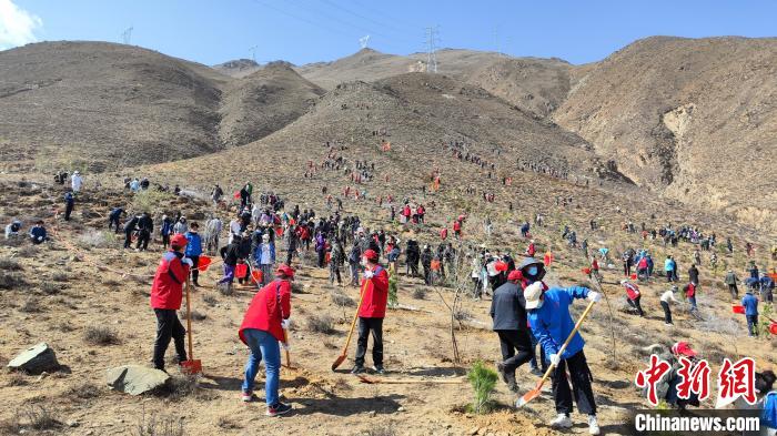图为组织开展植树造林活动。　共青团西藏自治区委员会供图