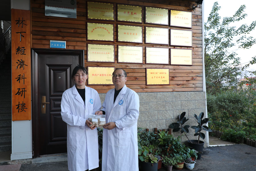 載“育”歸來的黑老虎種子回到“林下藥用植物應用技術湖南省工程研究中心”