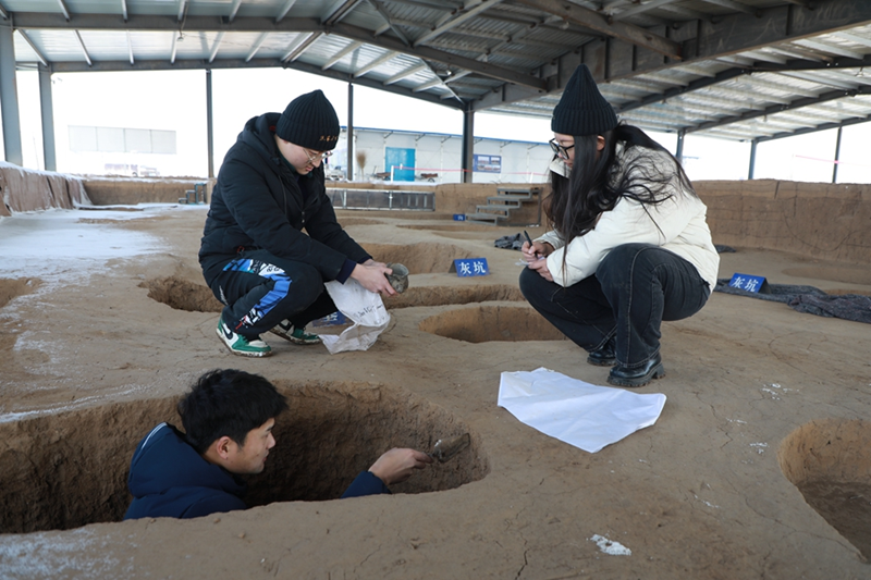 山東大學師生在焦家遺址考古現場進行考古發掘工作。山東大學供圖