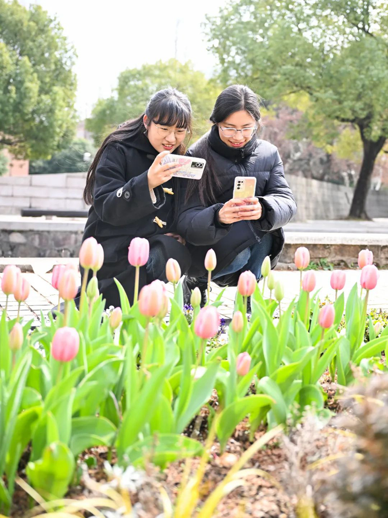 同濟大學學生正在拍攝花圃中含苞待放的花朵。同濟大學供圖