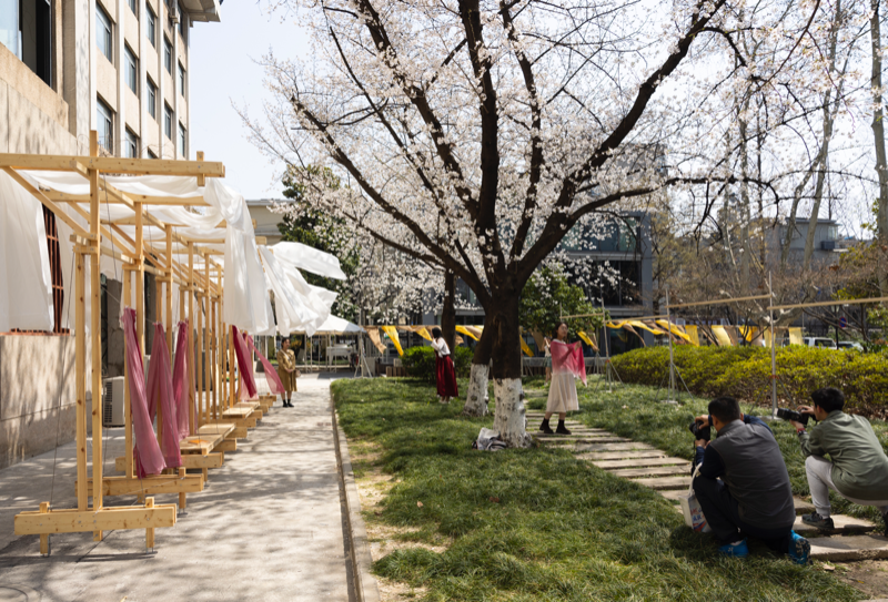 東南大學最美櫻花教室成“染坊”。杭添 攝