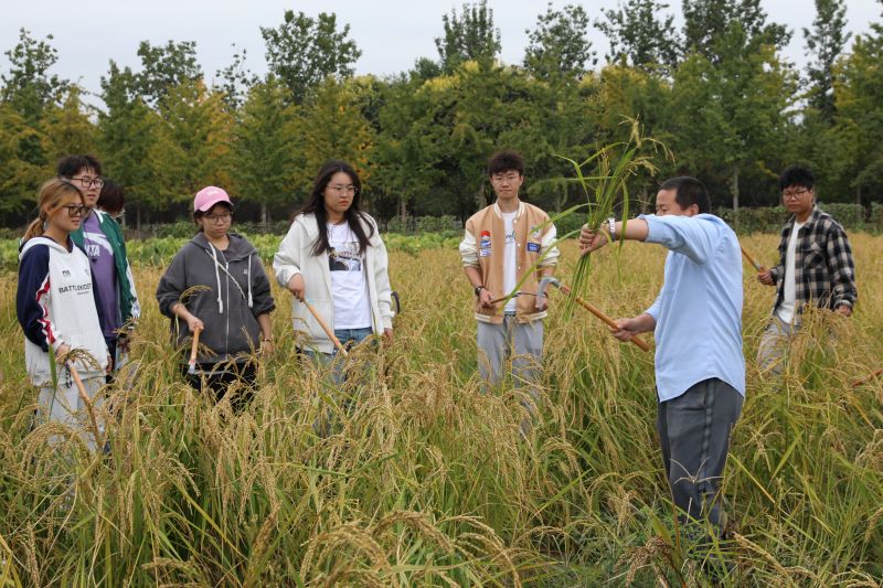 北京農學院舉行“大手拉小手，共繪豐收景”秋收節活動。校方供圖