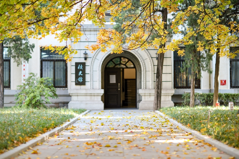 北京科技大學校史館前，金黃的銀杏裝點校園。王佔奎攝