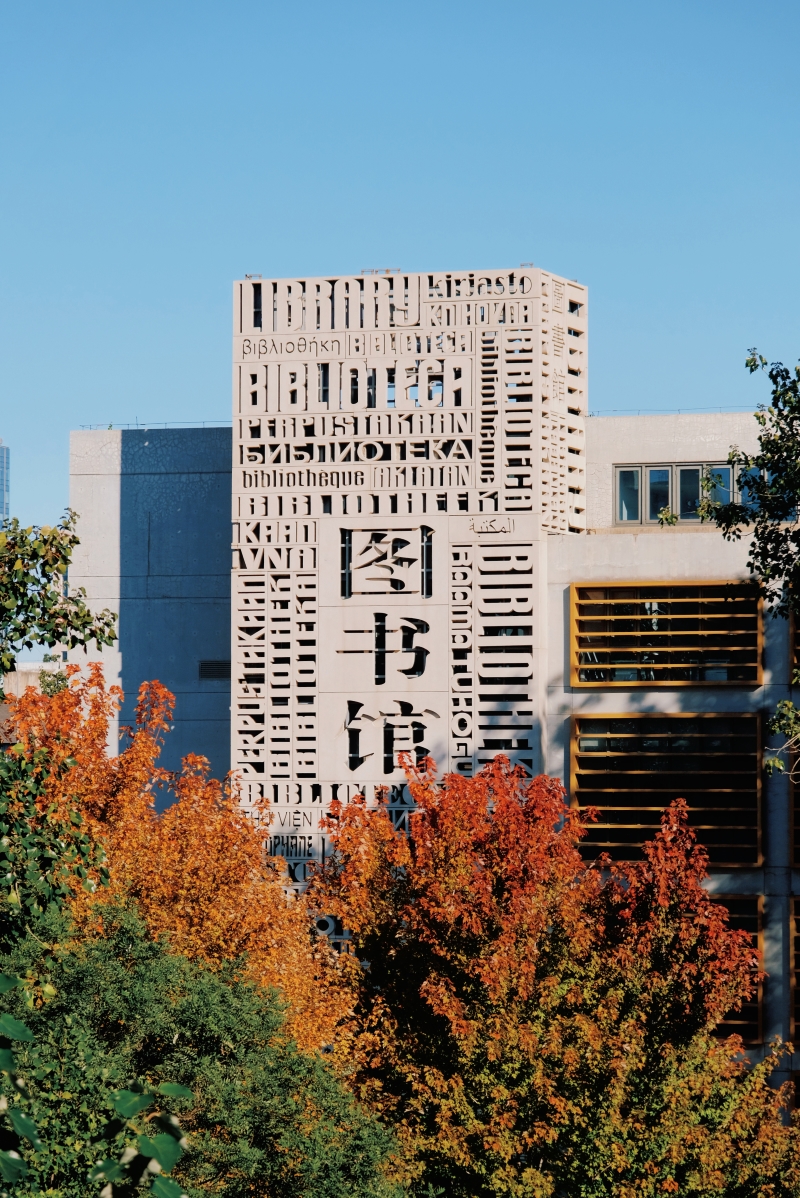 北京外國語大學圖書館外秋意正濃。張湛曼攝