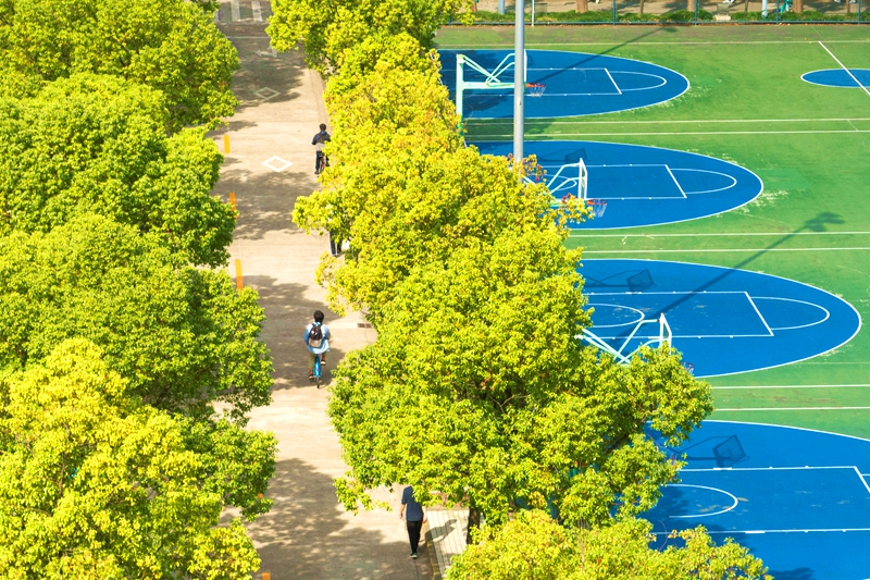 同濟大學校園裡，天高雲淡，秋色漸濃。周游攝