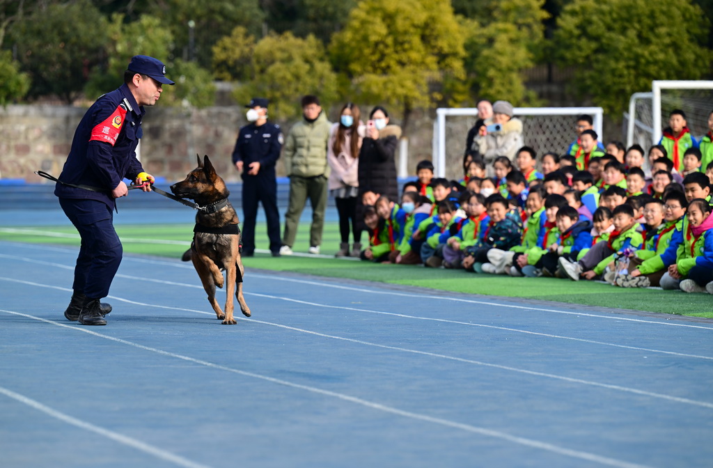 1月7日，小朋友在活动现场观看警犬训练。