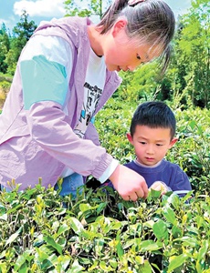 中小学春秋假，如何放得好推得开？
