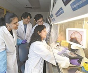 科学家培育出新型全脑类器官