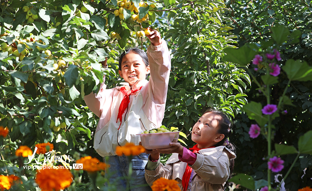甘肅民樂：校園“豐收節”【2】