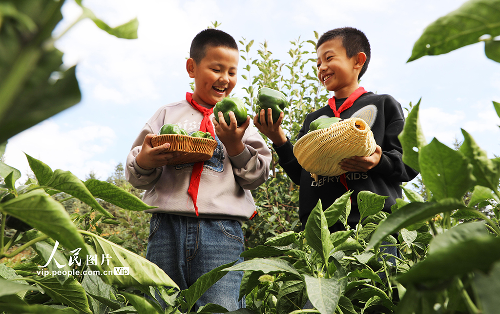 甘肅民樂：校園“豐收節”【5】
