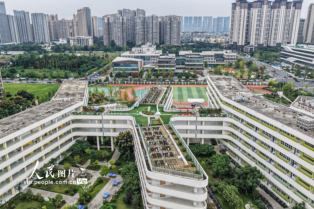 四川成都：校园“空中农田”秋种忙【6】