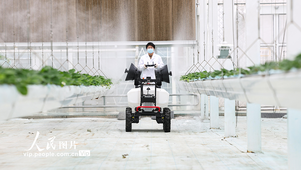 上海：實訓基地學“智慧農業”【4】