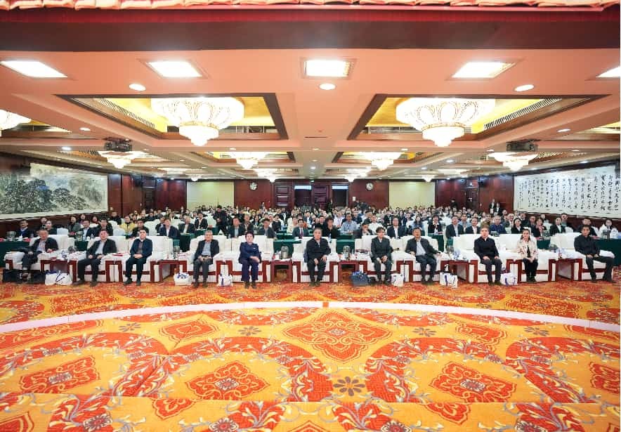 活動現場。主辦方供圖