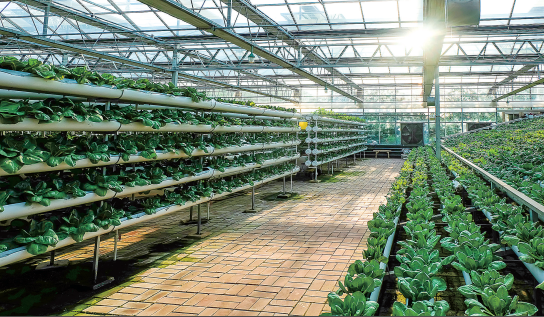 光明图片/视觉中国