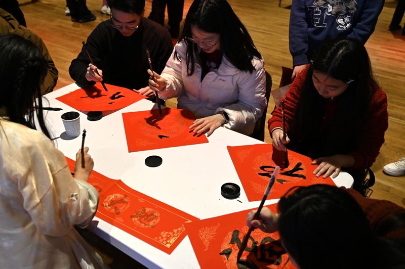 瑞典中國學生學者共慶新春。孟正聰攝