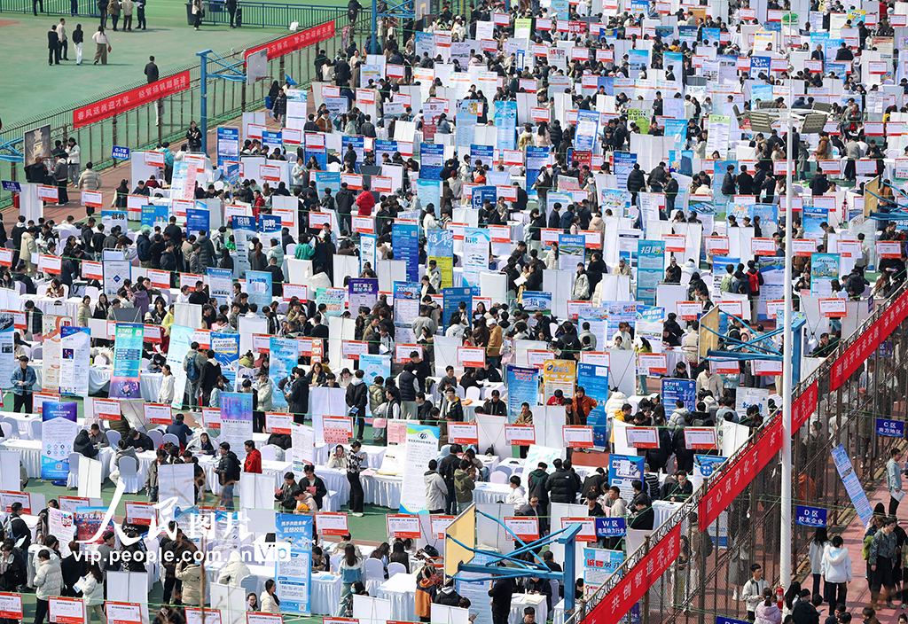 山东青岛：双选会助力大学生就业