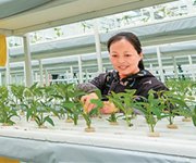 農業種植走出“科技范”