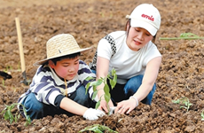 共享菜園受歡迎