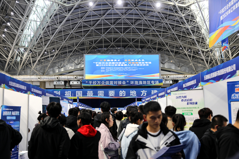 教育部“千校万企供需对接会”环渤海地区专场招聘现场。大连理工大学供图