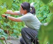 乡村全面振兴里的青春力量