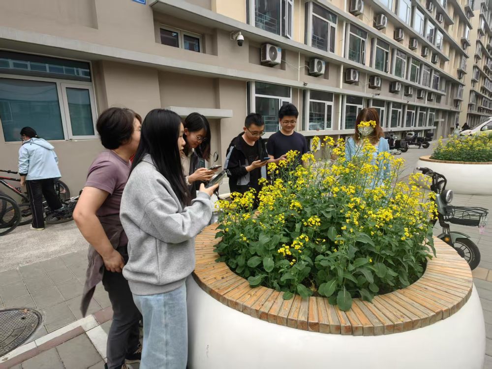 媒介素養主題班會——AI識別挑戰