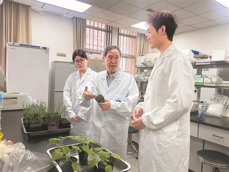康振生（中）指導學生開展科研。 記者 王禹涵攝