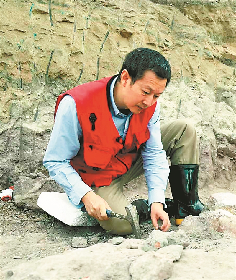 徐 星 中國科學院院士、中國科學院古脊椎動物與古人類研究所所長