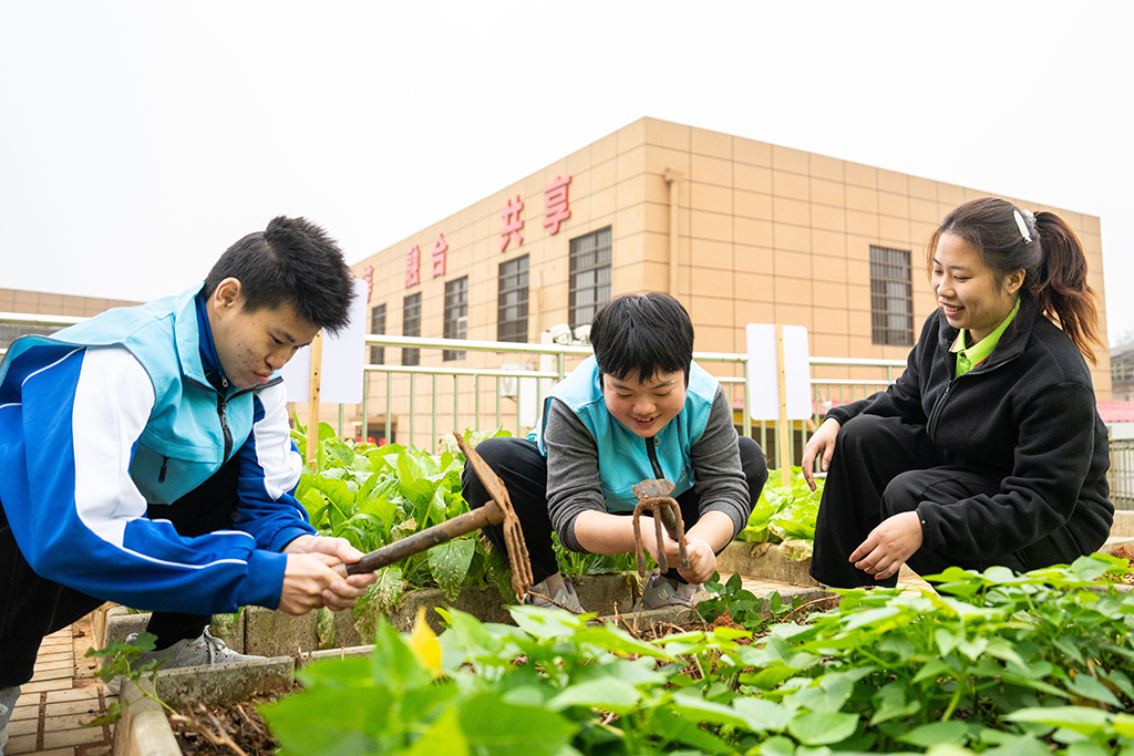 10月29日，在望城區星羽殘疾人托養中心農療區，工作人員（右一）指導學員翻土。