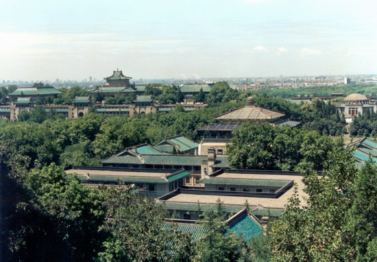 组图:春染珞珈 武汉大学校园美景 (4)