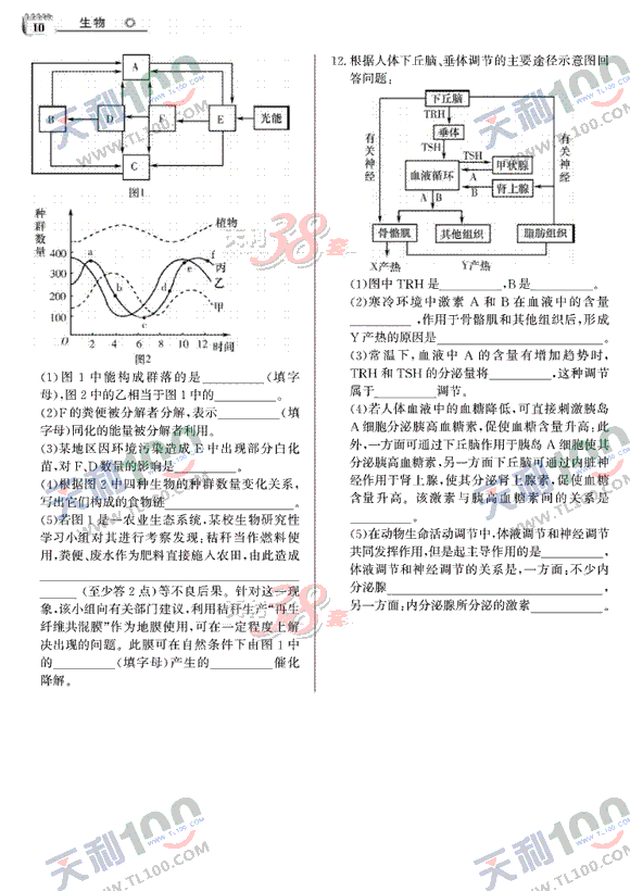 生物-10