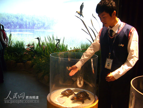 苏州中学学生自豪地向记者介绍自己制作的动物标本