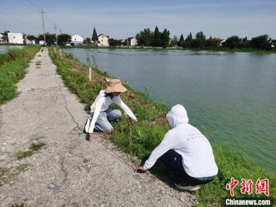 高校师生普查浙江24个县市区发现165种外来入侵植物