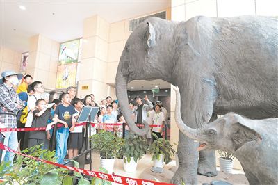 5月19日，中國科學院動物研究所國家動物博物館的動物專家為公眾講解動物知識。本報記者 洪星攝
