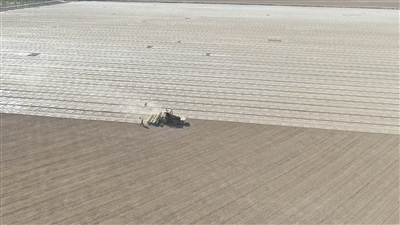 4月23日，在新疆沙灣市，播種機在棉田裡播種棉花。 新華社發（馬金明攝）