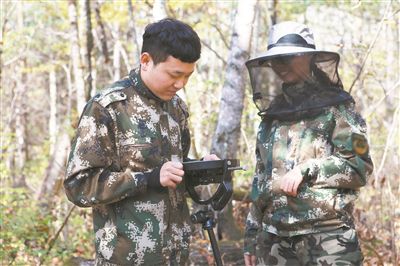 图为东北林业大学生态系统千般性团队在样地进行拜访监测责任。受访者供图