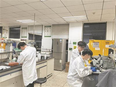 图为南京财经大学学生正在进行食粮安全履行。受访者供图