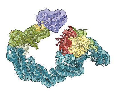 MZ1分子（藝術圖）。圖片來源：英國鄧迪大學