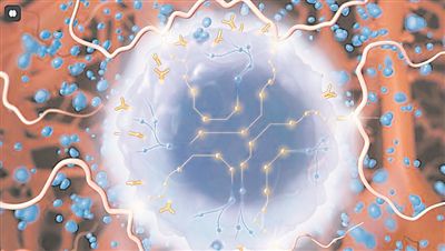 编程的免疫细胞注入体内后，能告成导航到缠绵位置，毁坏正在孕育的肿瘤。图片起原：好意思国加州大学旧金山分校