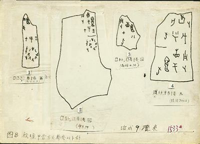 周尧为《中国昆虫学史》摹写的甲骨文材料。老科学家学术成长资料采集工程供图