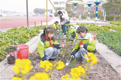 图为在江苏省兴化市陈堡中心小学校园内的“晨晓农场”，学生和老师一起植树。新华社发（史道智摄）